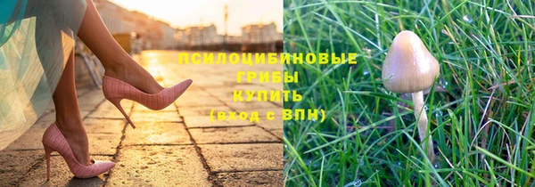 дживик Балахна