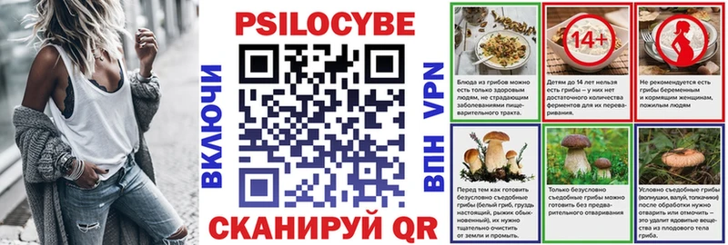 Псилоцибиновые грибы Psilocybe  Нариманов 
